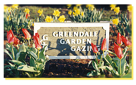 Greendale Garden Gazing